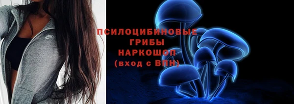 Альфа ПВП Вяземский