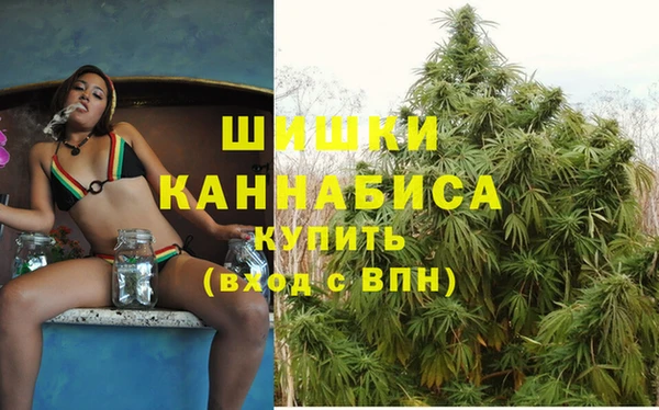 Альфа ПВП Вяземский