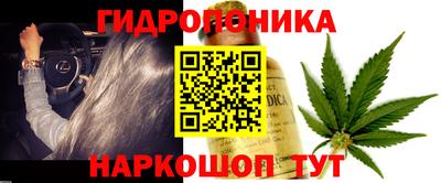 спиды Будённовск