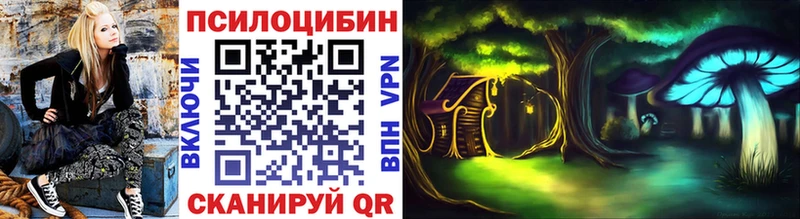 Галлюциногенные грибы Psilocybe  закладки  блэк спрут ссылки  Десногорск 