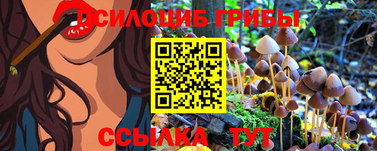 Галлюциногенные грибы мицелий  купить наркотик  Десногорск 