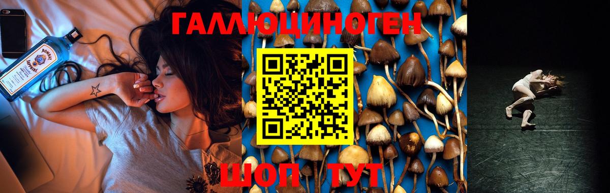 Галлюциногенные грибы GOLDEN TEACHER  Псилоцибиновые грибы Psilocybine cubensis  Вход с VPN  Десногорск 