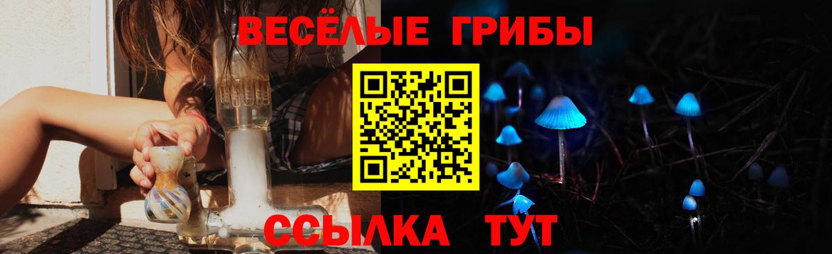 Псилоцибиновые грибы Psilocybine cubensis Десногорск